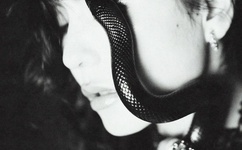 欧洲人看的WWW哔哩哔哩